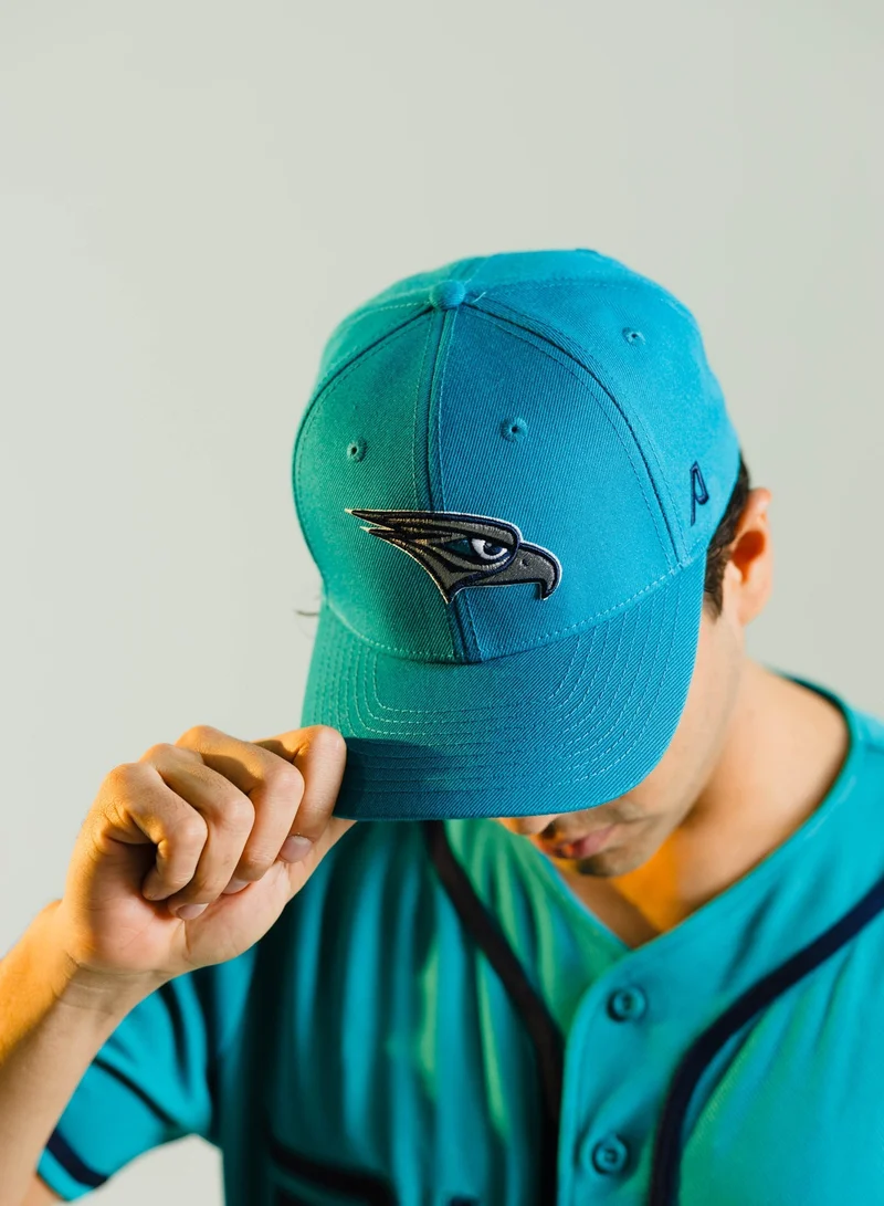 البيسبول يونايتد قبعة الصقور الرسمية البديلة للملعب