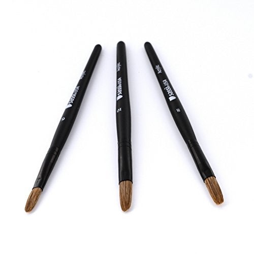 Sassi Acrylic Nail Brush 3pk 1113