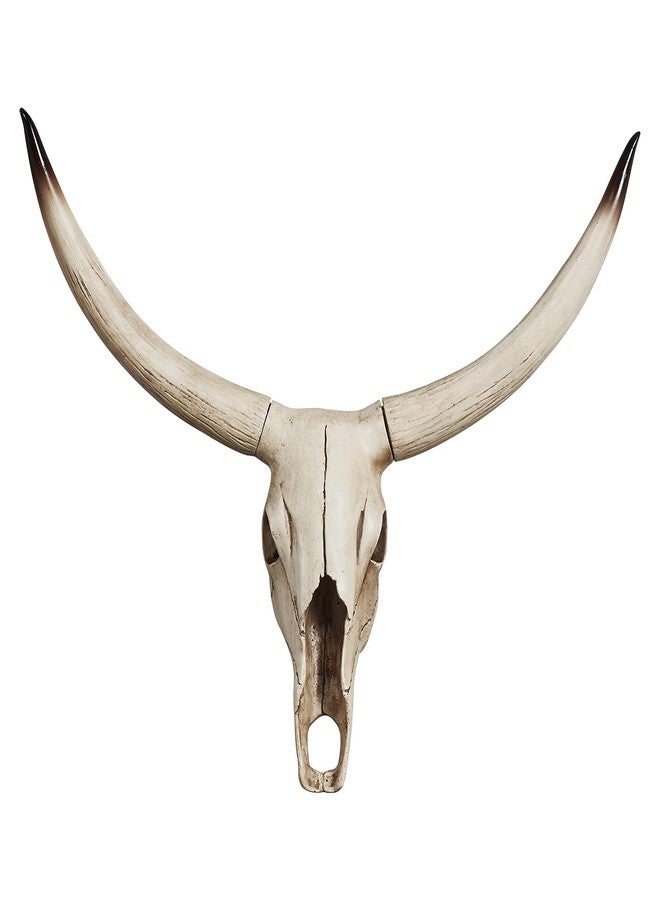 Notakia Gaobei Long Horn Cow Skull Wall Hanging Longhorn Steer Southwest Bull Skull Sculpture Resin Decoration - Image 1