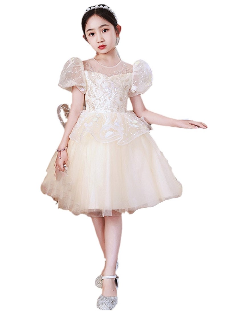 Dress children's piano performance dress princess dress costumes - Image 1