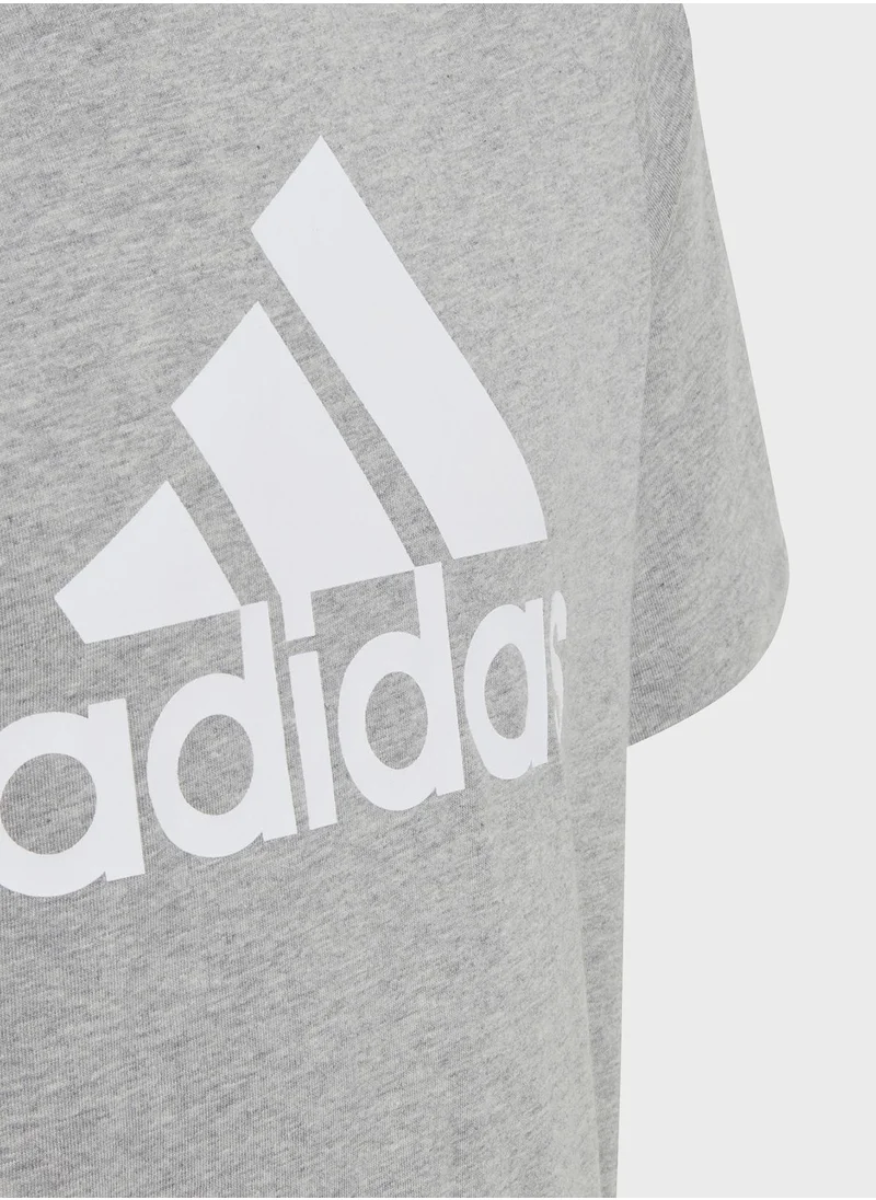 Adidas Essentials Big Logo Cotton T-Shirt