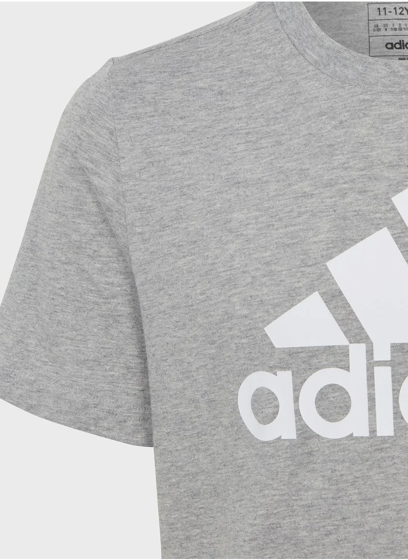 Adidas Essentials Big Logo Cotton T-Shirt