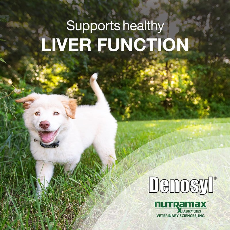 Nutramax Laboratories Denosyl Liver and Brain Health Supplement for Medium Dogs - 30 Tablets with S-Adenosylmethionine (SAMe), 225 mg - Image 3