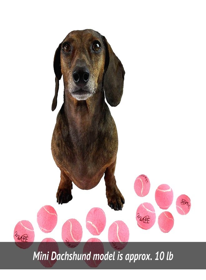 Midlee Pink 1.5" Mini Squeaky Dog Tennis Balls- Set of 12 - Image 5