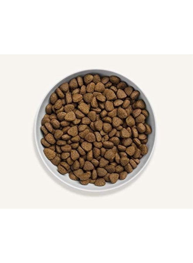 Canagan Free Range Chicken for Dogs Dry Food 12KG - Image 2
