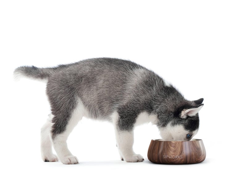 Sipworks Stainless Steel Dog Bowl â€“ 32oz Weighted Metal Food and Water Bowls for Dogs and Cats with Non-Slip Base - Pet Bowls for All Breeds Sizes for Travel & Outdoor Play - Mahogany - Image 2