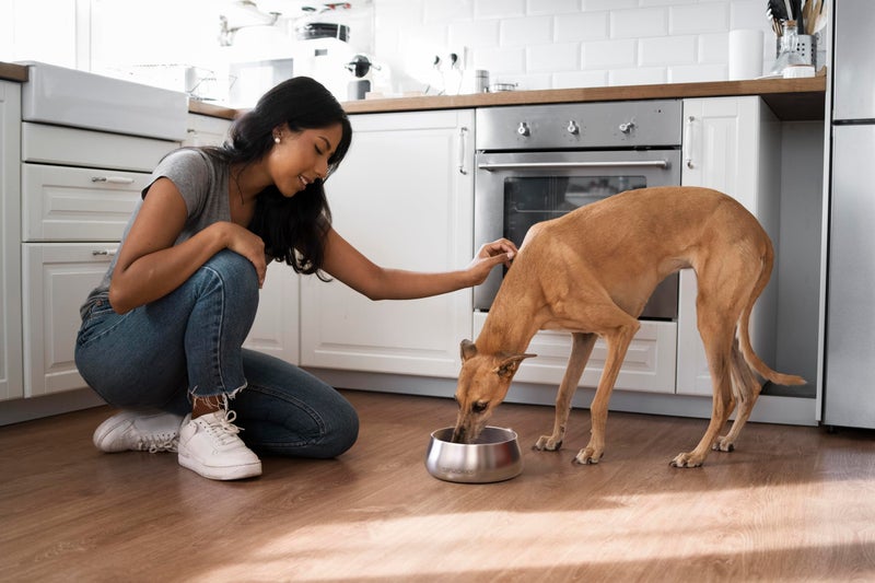 Sipworks Stainless Steel Dog Bowl â€“ 32oz Weighted Metal Food and Water Bowls for Dogs and Cats with Non-Slip Base - Pet Bowls for All Breeds Sizes for Travel & Outdoor Play - Mahogany - Image 4