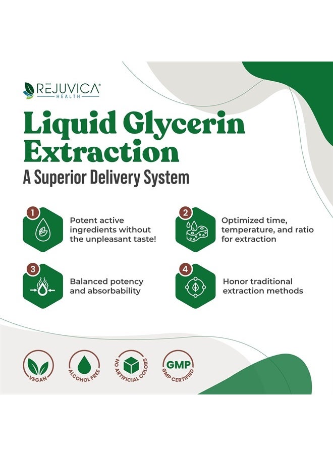 Rejuvica Health DigestaPro - Advanced Digestive Bitters Supplement - Liquid Delivery for Better Absorption - Gentian, Artichoke, Burdock, Chanca Piedra, Ginger & More! …  - Image 3