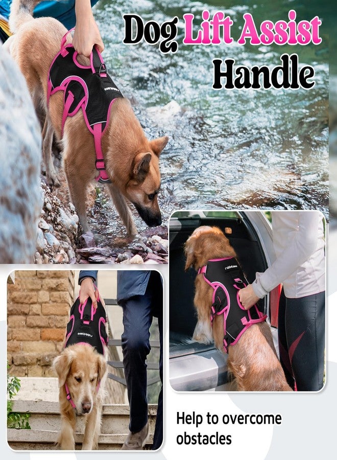 رابيتجو سرج كلاب مانع للهروب من rabbitgoo، متوسط الحجم، مبطن وناعم، يغطي كامل الجسم، عاكس للضوء، قابل للتعديل، مزود بمقبض رفع ومشبك للرباط، مناسب للمشي والتنزه والتدريب، باللونين الوردي والأسود، مقاس متوسط. - Image 3