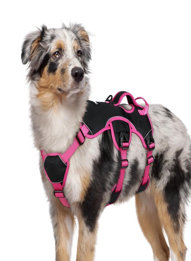 رابيتجو سرج كلاب مانع للهروب من rabbitgoo، متوسط الحجم، مبطن وناعم، يغطي كامل الجسم، عاكس للضوء، قابل للتعديل، مزود بمقبض رفع ومشبك للرباط، مناسب للمشي والتنزه والتدريب، باللونين الوردي والأسود، مقاس متوسط. - Image 1