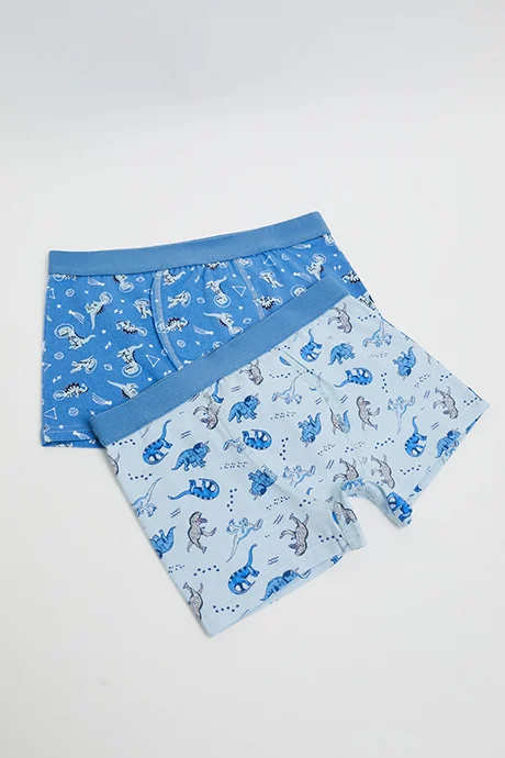أر أند بي 2 Pack Printed Boxers