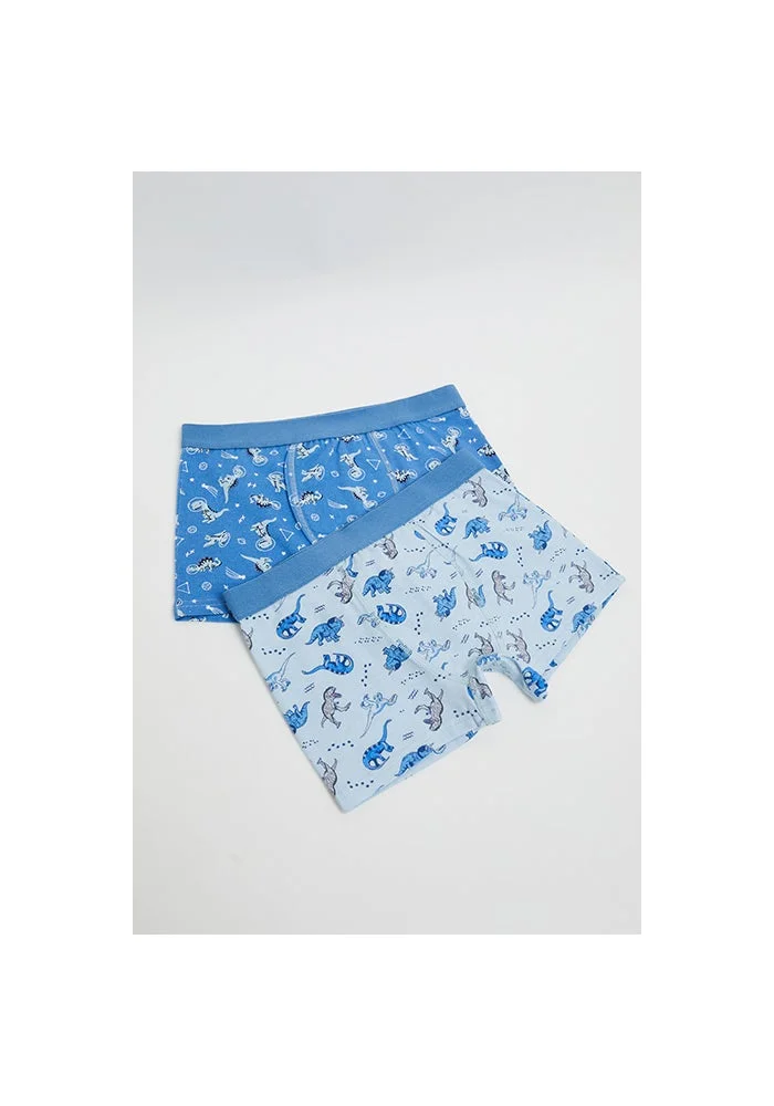 R&b 2 Pack Printed Boxers