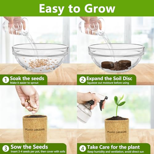 Endbug Bonsai Tree Kit, Bonsai Starter Kit with 4 Types of Seeds, Tools & Planters, Bonsai Tree Live Plants Indoor, Gardening Gifts for Women Men Mom Father Plant Lover, Unique - Image 5
