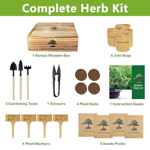 Endbug Bonsai Tree Kit, Bonsai Starter Kit with 4 Types of Seeds, Tools & Planters, Bonsai Tree Live Plants Indoor, Gardening Gifts for Women Men Mom Father Plant Lover, Unique - Image 2