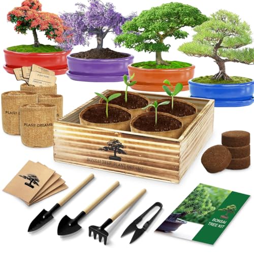 Endbug Bonsai Tree Kit, Bonsai Starter Kit with 4 Types of Seeds, Tools & Planters, Bonsai Tree Live Plants Indoor, Gardening Gifts for Women Men Mom Father Plant Lover, Unique - Image 1