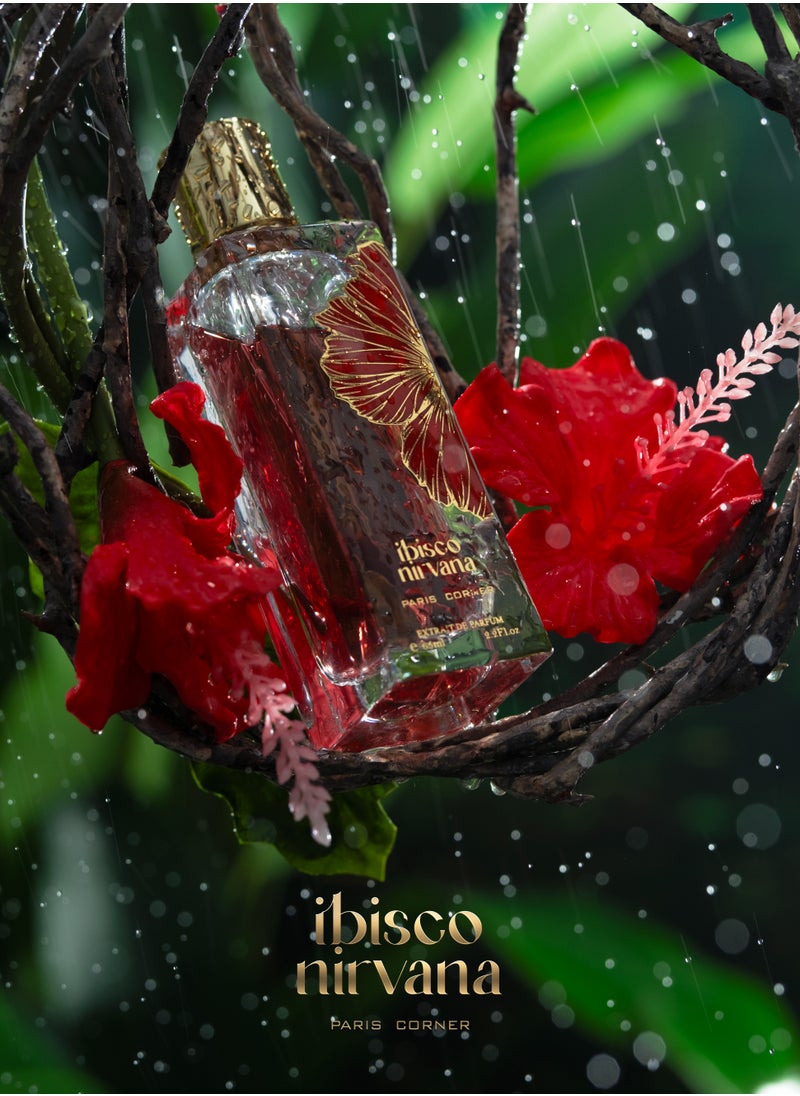 PARIS CORNER IBISCO NIRVANA 65 ML BY PARIS CORNER  - Image 2