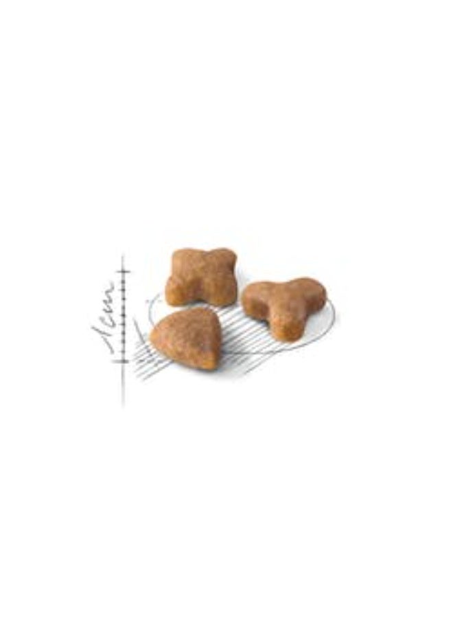 رويال كانين طعام رويال كانين سينسيبل الجاف للقطط - ٢ كجم - Image 2