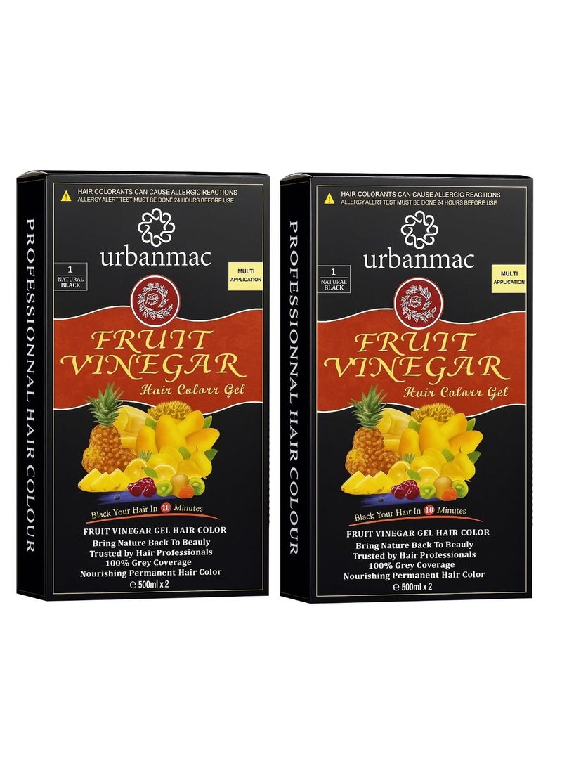 URBANMAC Fruit Vinegar Gel Hair Color Natural Hair Color Dye for Black Hair Dye (BLACK, Dye(500ml x 2 PACK OF 2)) - Image 1