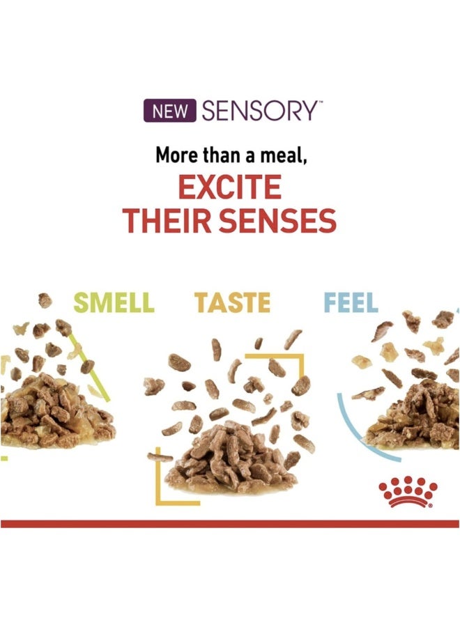 ROYAL CANIN رويال كانين للتغذية الصحية للقطط رائحة الحساء طعام رطب في أكياس 12x85غ - Image 5