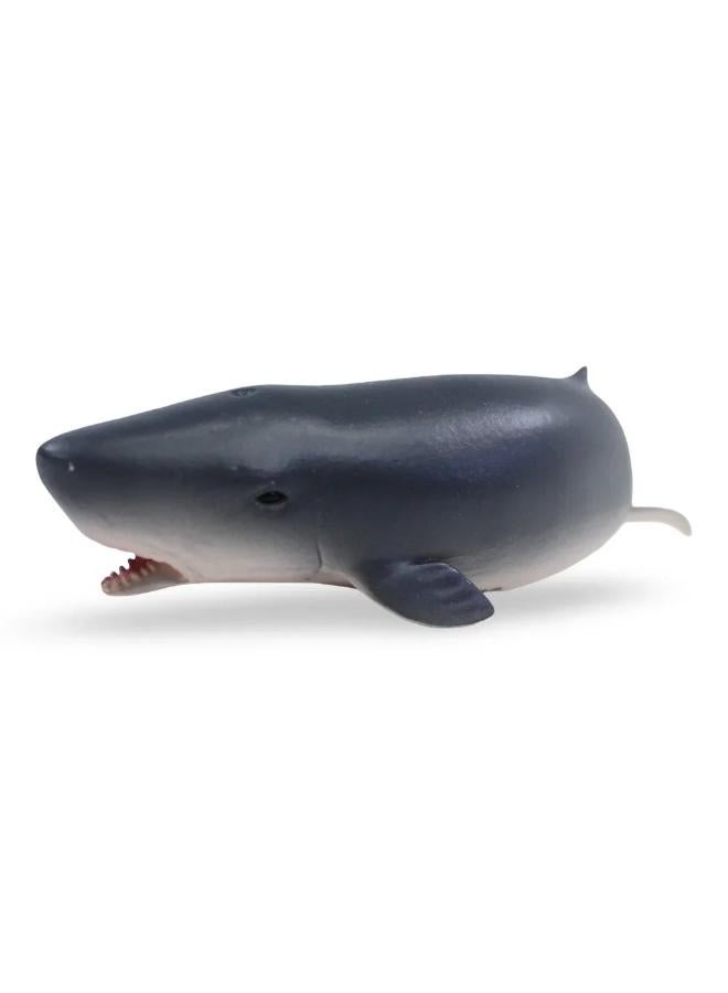 CollectA Pygmy Sperm Whale Figurine - Image 1
