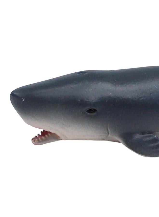 CollectA Pygmy Sperm Whale Figurine - Image 3