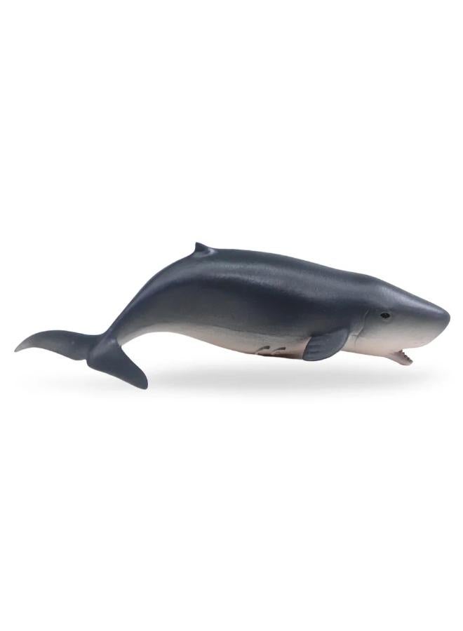 CollectA Pygmy Sperm Whale Figurine - Image 2