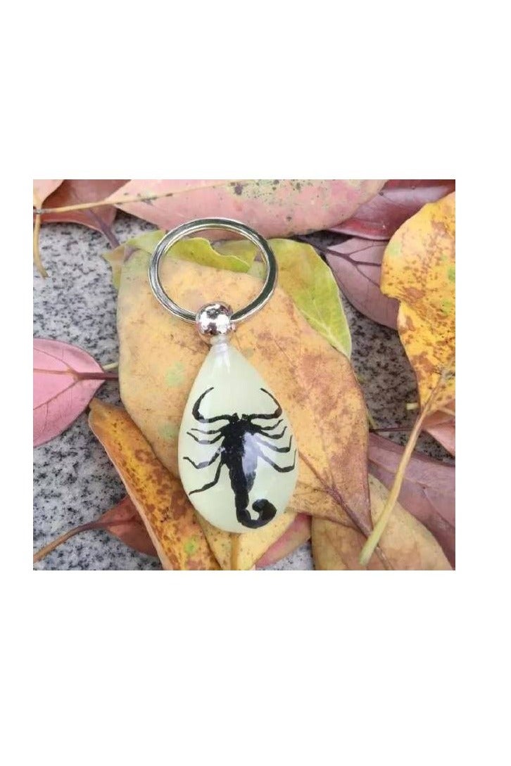 حامل مفاتيح يتوهج في الظلام على شكل عقرب حقيقي - Image 3