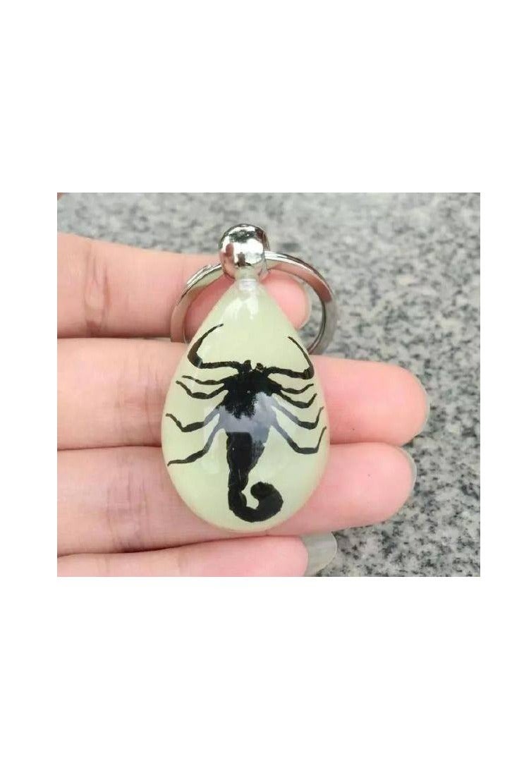 حامل مفاتيح يتوهج في الظلام على شكل عقرب حقيقي - Image 4