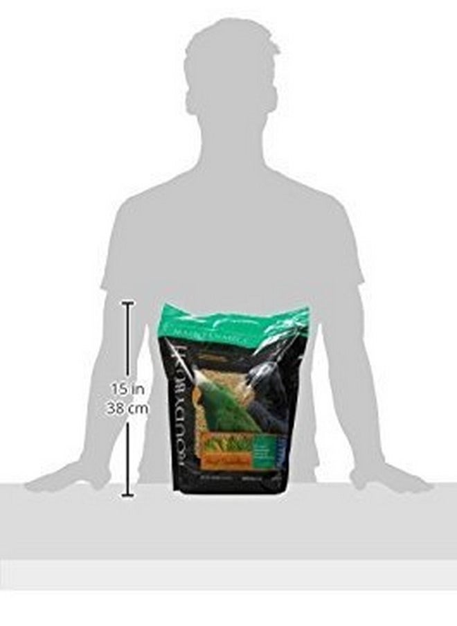 ROUDYBUSH Roudybush Daily Maintenance Bird Food, Small, 10-Pound  - Image 1