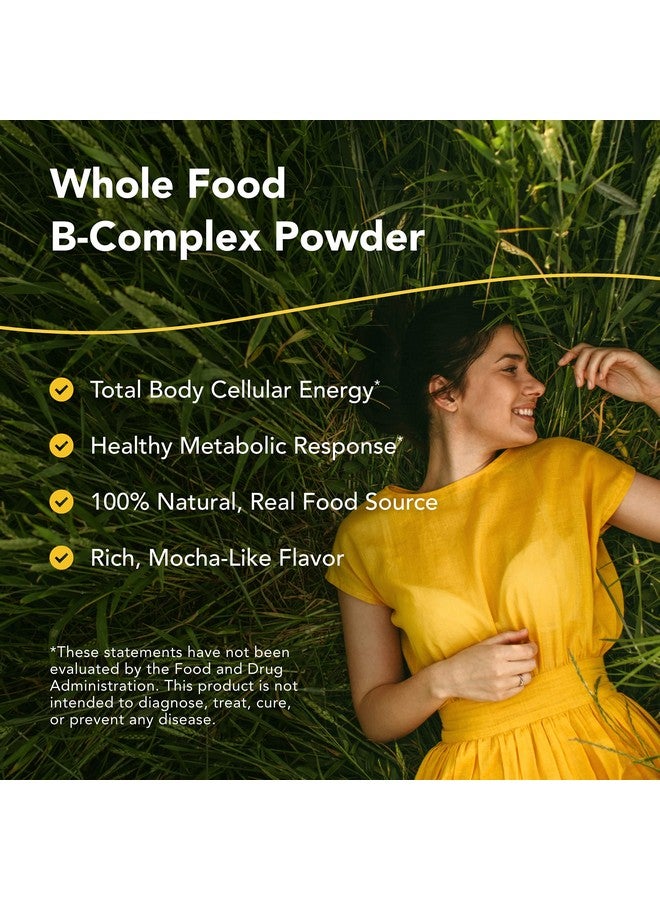 North American Herb & Spice Purely-B - 14.1 oz - Whole Food B Complex Concentrate - Natural Energy Source, Healthy Metabolic Response - Raw Chaga & Maca - Non-GMO - 28 Servings - Image 2