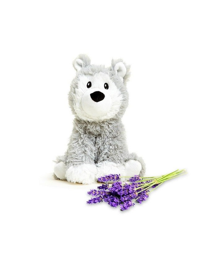Warmies Husky Microwavable, heatable French Lavender Scented Stuffed Animal - Cute Soft and Cuddly Plush Gift for All Ages - Image 1