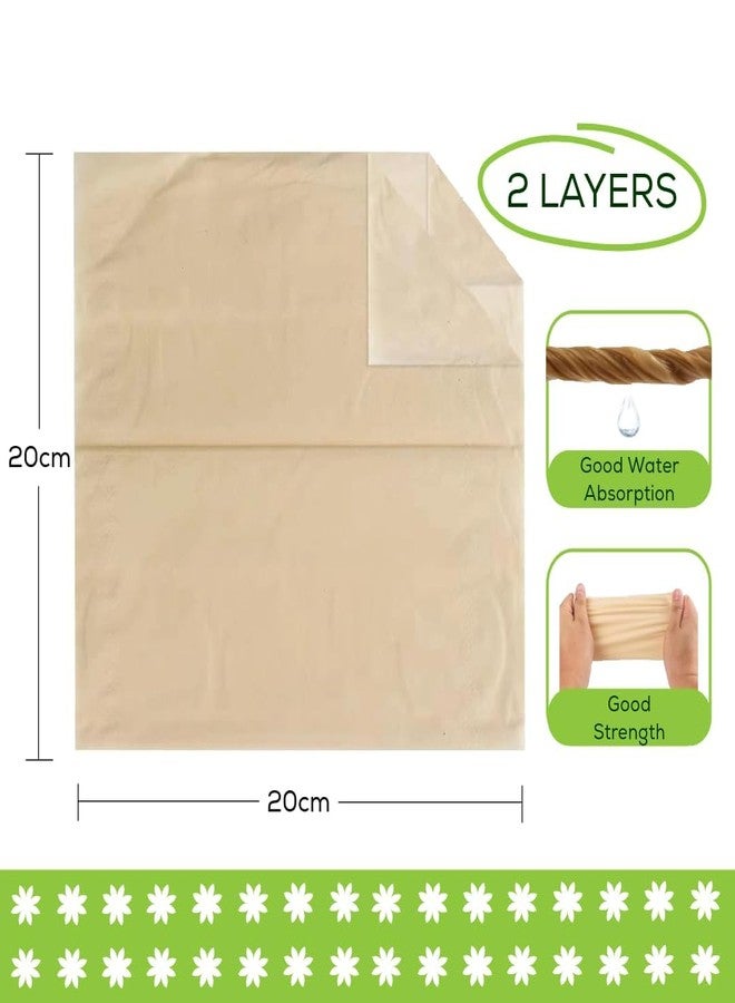 Biogreen bamboo Soft Facial/Face Tissues, 2 Ply 100 Pulls Each Box - Pack of 4 - Image 3