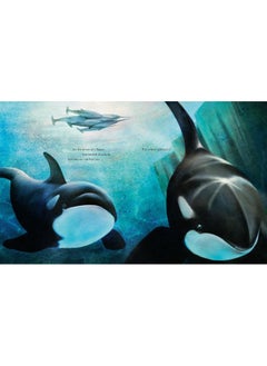 Narwhal: Unicorn of the Arctic  - Image 5