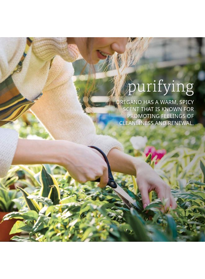 ناو فودز زيت أساسي بالأوريجانو الطبيعي 30ملليلتر - Image 5