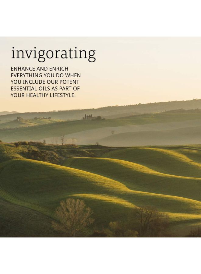 ناو فودز زيت أساسي بالأوريجانو الطبيعي 30ملليلتر - Image 3