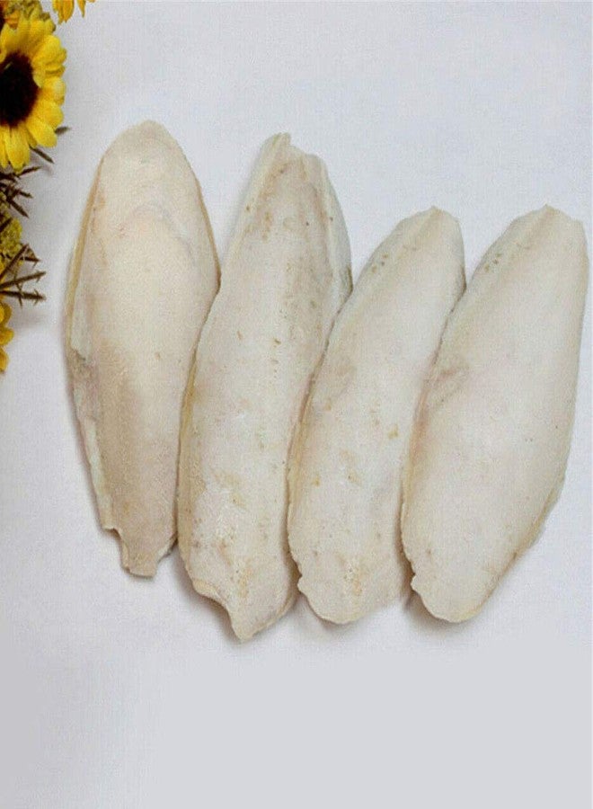 أكسيكو مجموعة أكسيكو من 10 قطع من عظام الحبار، أضراس للحيوانات الأليفة، عظام الحبار، 8-10 سم - Image 1