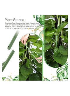 SYOSI SYOSI Plant Support Stakes, 40 Inch Adjustable Twig Plant Support Stakes, Trellis for Potted Plants Flower Supports for Indoor Outdoor Plants, Green, 6 Pieces  - Image 3