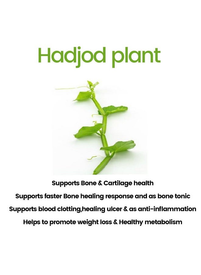 Kudos Ayurveda Hadjod Bone & Joint Wellness 60 Tablets  - Image 4
