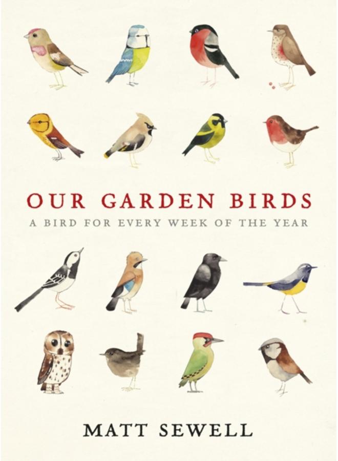Our Garden Birds : a stunning illustrated guide to the birdlife of the British Isles 