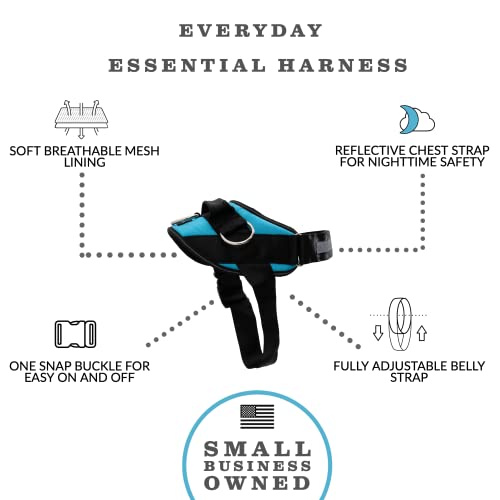 ShawnCo Essential Dog Harness, No-Pull Pet Vest with 3 Leash Clips, No Choke, Reflective, Adjustable and Padded, for Easy Walking and Training for Small, Medium and Large Dogs (Oceanic Blue, XL) - Image 2