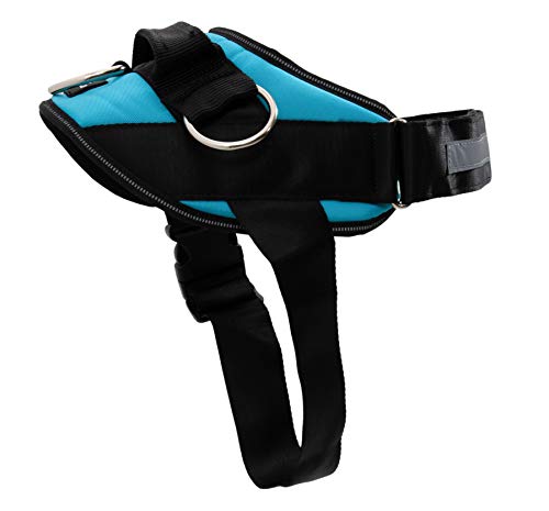 ShawnCo Essential Dog Harness, No-Pull Pet Vest with 3 Leash Clips, No Choke, Reflective, Adjustable and Padded, for Easy Walking and Training for Small, Medium and Large Dogs (Oceanic Blue, XL) - Image 1