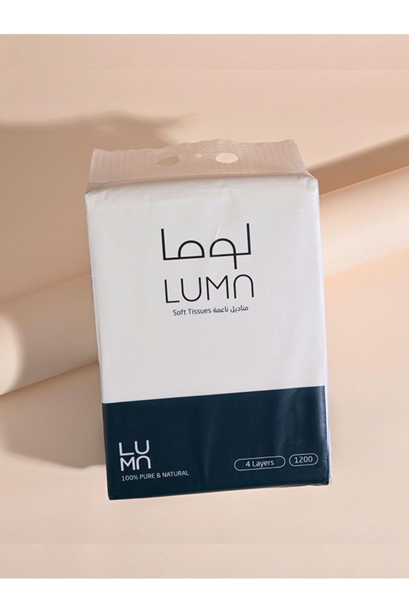 Offer of 15 Packs of Hanging Tissues, 5-Ply, 1200 Tissues (18,000 Tissues) - Image 2
