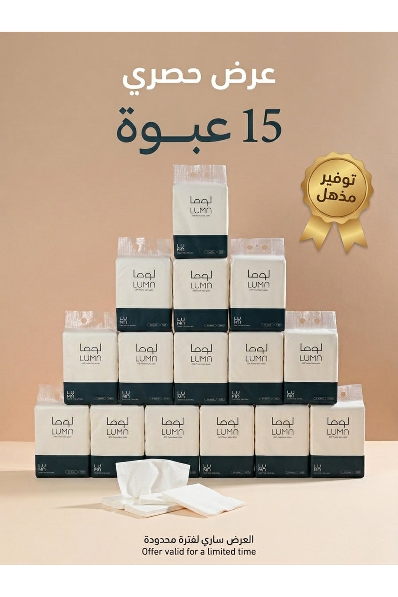 Offer of 15 Packs of Hanging Tissues, 5-Ply, 1200 Tissues (18,000 Tissues) - Image 1