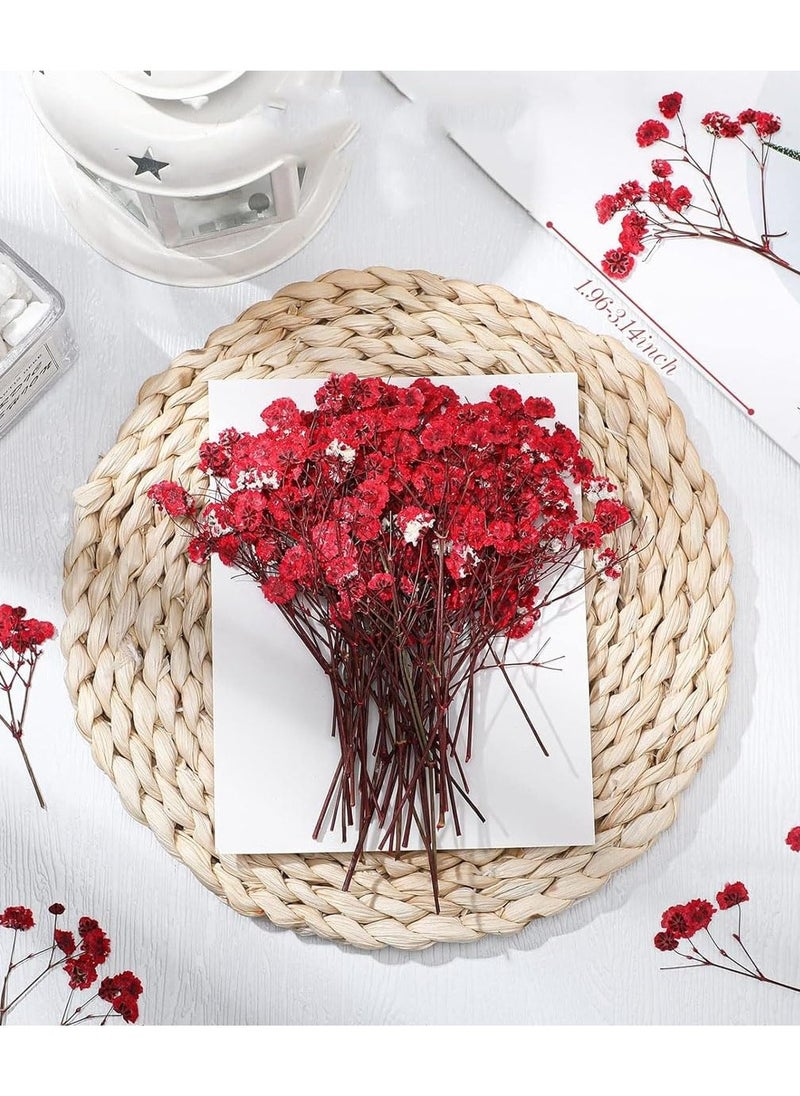 Excefore Mini Dried Baby's Breath Flowers, 60 Pcs Dried Pressed Flowers 1.97-3.15 Inch Mini Natural Branches Bouquet for Wedding DIY Card Home Party Decor Vase Table Craft Decor  - Image 2