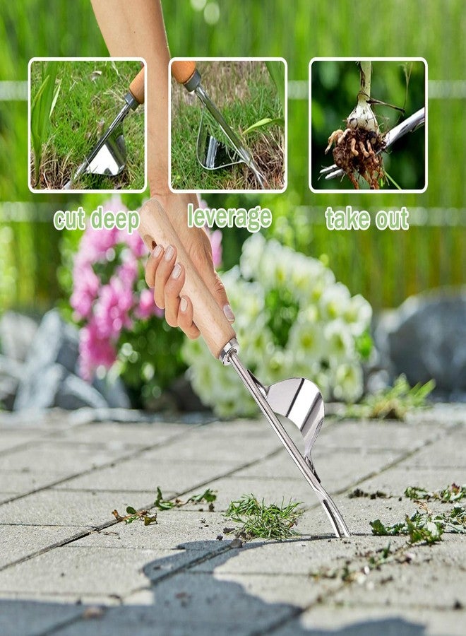 mcwdoit Crack Weeder Tool, Crevice Weeding Moss Brush with 2 Heads&Scraping Hook, A Hand Puller Tool, Moss Remover with Steel Handle for Cleaning Paving Joint Paver Sidewalk Patio Stone Driveway Deck - Image 3