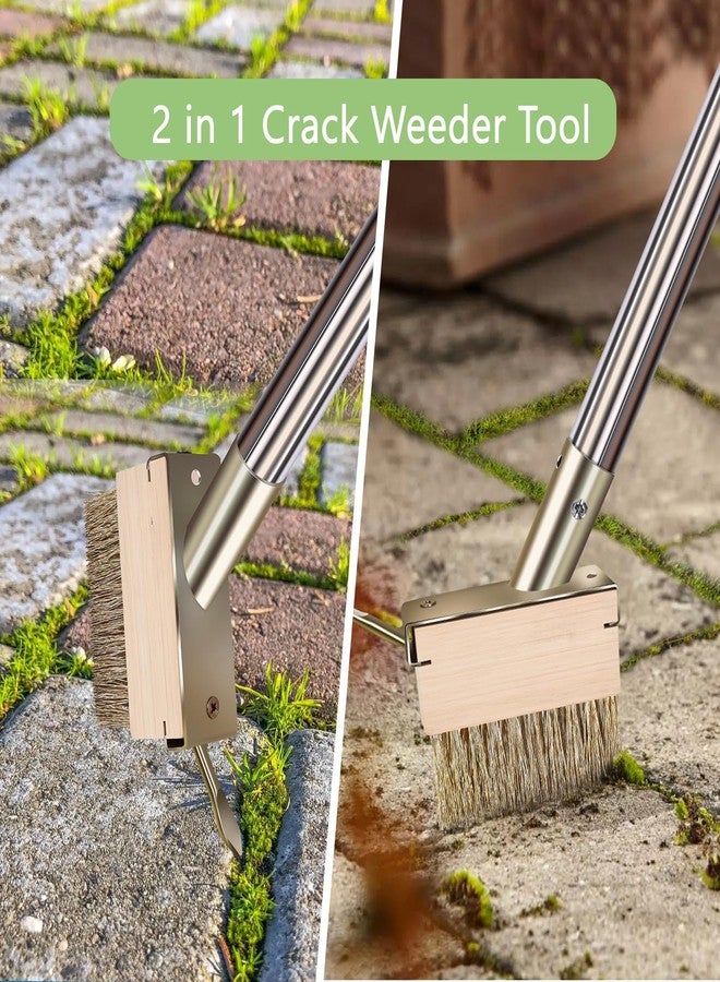 mcwdoit Crack Weeder Tool, Crevice Weeding Moss Brush with 2 Heads&Scraping Hook, A Hand Puller Tool, Moss Remover with Steel Handle for Cleaning Paving Joint Paver Sidewalk Patio Stone Driveway Deck - Image 2