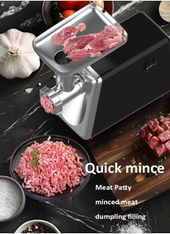 Electric Meat Grinder,2500W Heavy Duty Meat Mincer with 2 Grinding Plates, Sausage & Kubbe Accessory, Reverse Function,SK-06017 Black/Silver - pzsku/ZDC04C9505226F1286521Z/45/_/1734598715/fa214881-57c2-4126-a612-f7dd3464359a