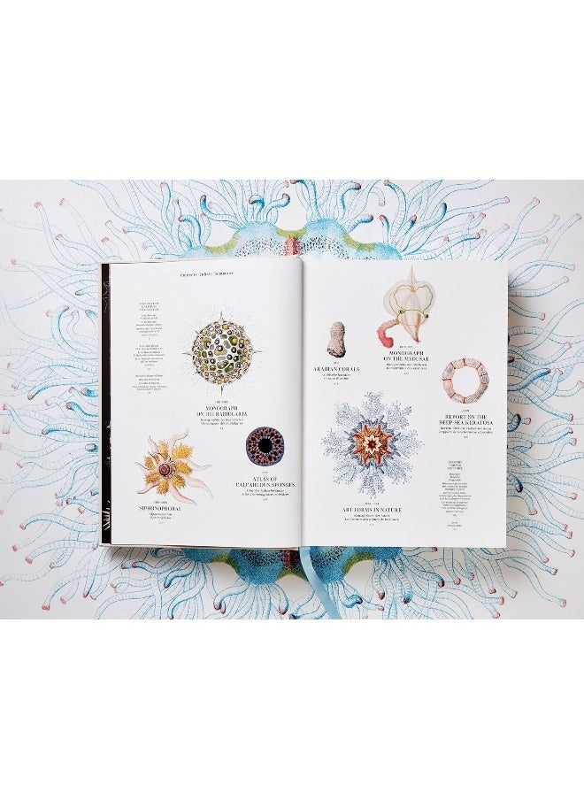 The Art and Science of Ernst Haeckel  - Image 3