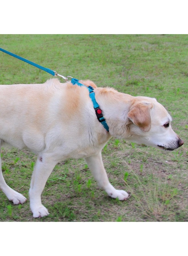 Joytale Martingale Collar for Dogs, Reflective Heavy Duty Dog Collar for Safety, Quick Release Buckle, Adjustable Nylon Collars for Large Breed Dogs Walking Training, Sky Blue,L - Image 3