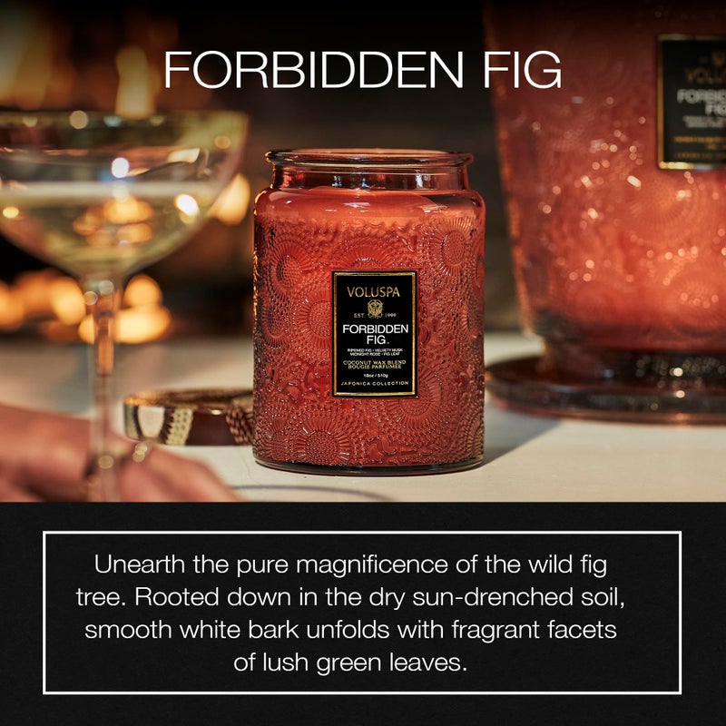 Voluspa Forbidden Fig Candle, 18 oz, Coconut Wax Blend, Scented Candles for Home, 100 Hour Burn Time, Candle Jars - Image 2